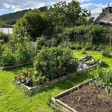 Y Felin Bed And Breakfast And Smallholding Caersws Extérieur photo