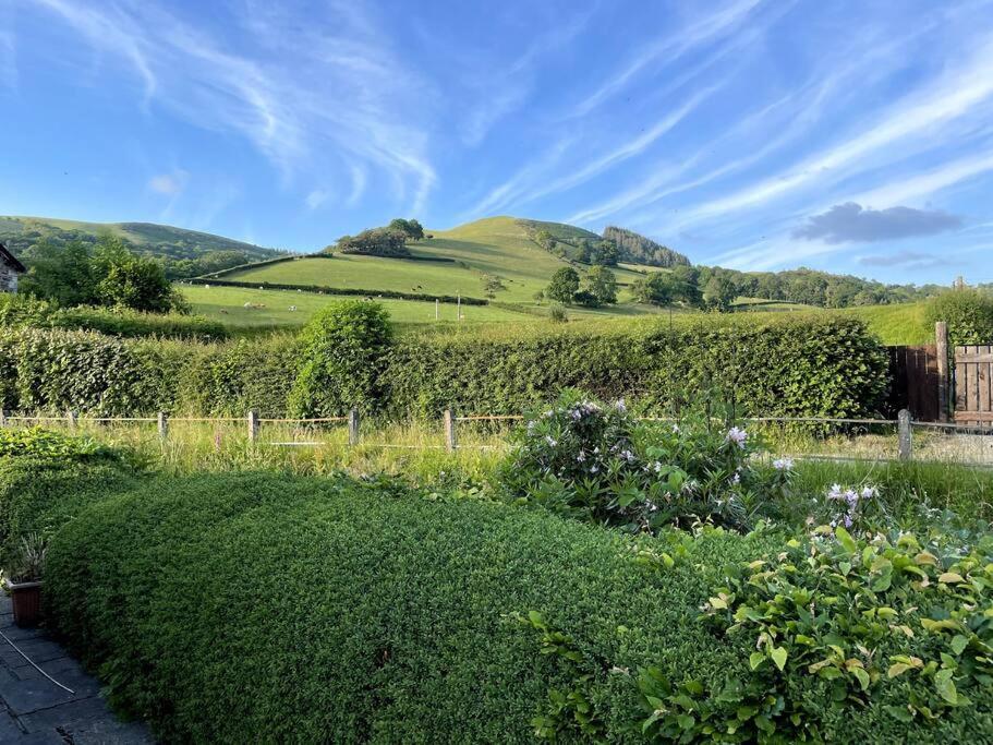 Y Felin Bed And Breakfast And Smallholding Caersws Extérieur photo