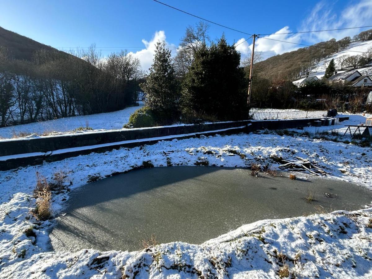 Y Felin Bed And Breakfast And Smallholding Caersws Extérieur photo