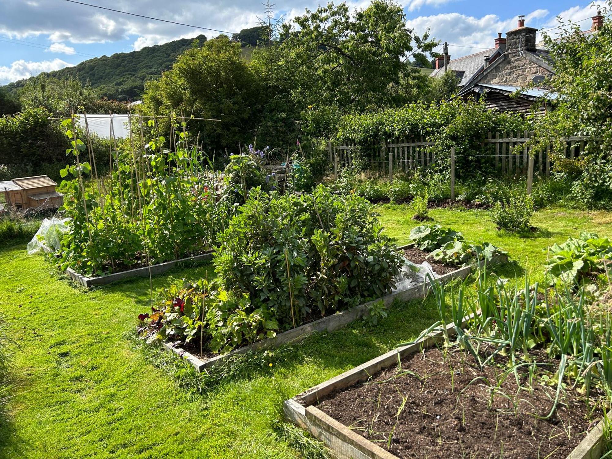 Y Felin Bed And Breakfast And Smallholding Caersws Extérieur photo